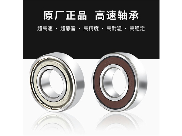 NSK6001ZZ 