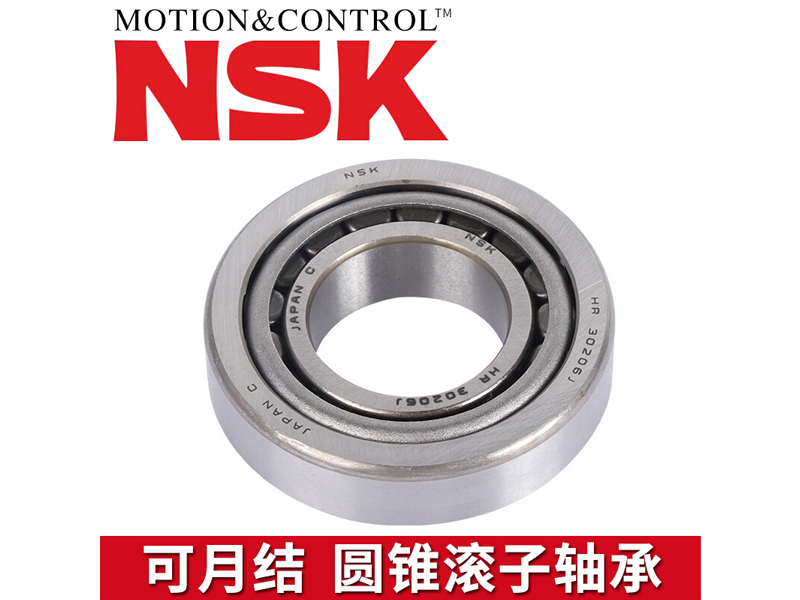NSK 32008